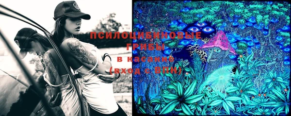 эйфоретик Болотное