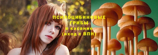 СК Костерёво