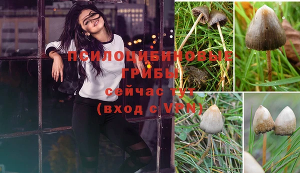 экстази Корсаков