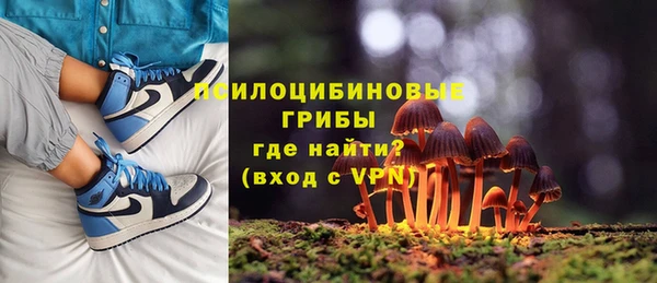 СК Костерёво