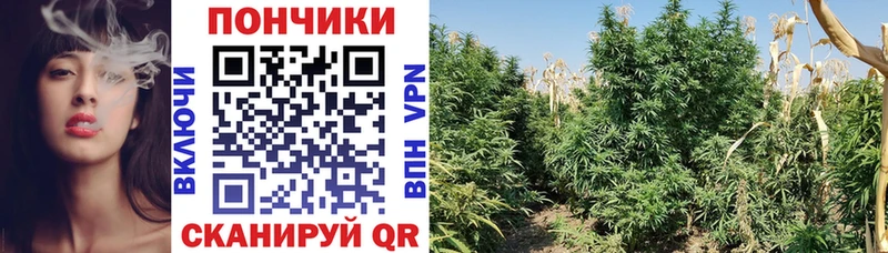 гидра сайт  Кораблино  Шишки марихуана Bruce Banner  наркотики 